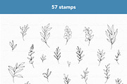 Greenery Procreate Stamps, a Brush Add-On by CaraulanStore (Thumbnail 5 of 8)