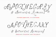 The Rose Atelier// Hand drawn Font, a Handwritten Font by PeachCreme (Thumbnail 4 of 15)