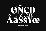 Kinematic – Timeless Serif, a Serif Font by Almarkhatype (Thumbnail 10 of 11)