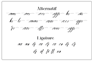 AnichaScript - Modern Elegant Script, a Script Font by MaikoHatta (Thumbnail 8 of 8)
