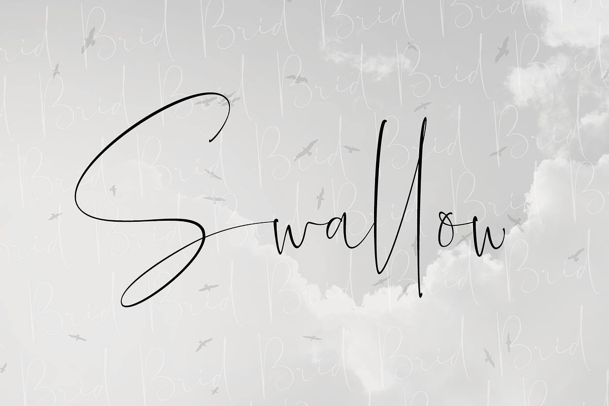 Agustrush, a Script Font by GRAPHICPRESS (Photo 7 of 9)