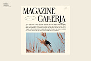 Regus Brown, a Serif Font by Ryan Rivaldo Vierra (Thumbnail 13 of 16)