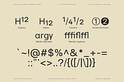 Lenia Sans Family | Intro 75% OFF, a Sans Serif Font by Lettertype Studio (Thumbnail 10 of 15)