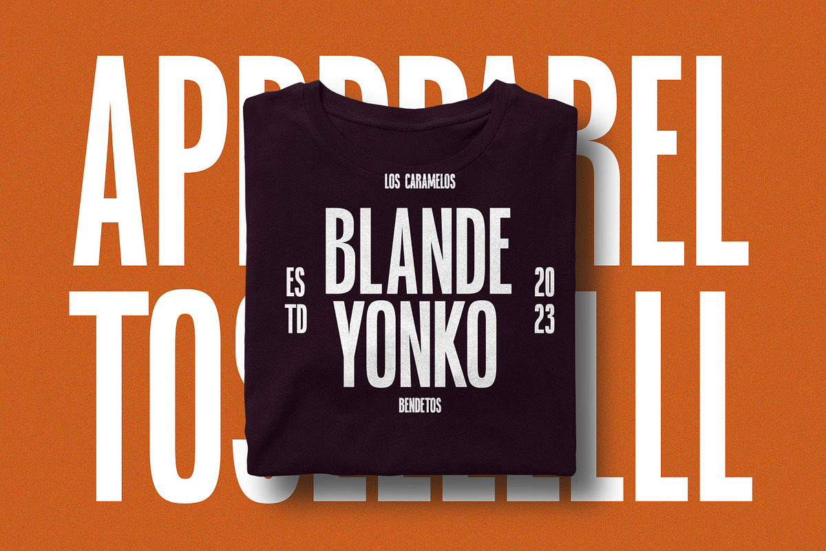 Blonden - Condensed Sans Serif, a Sans Serif Font by Craft Supply Co. (Photo 7 of 8)