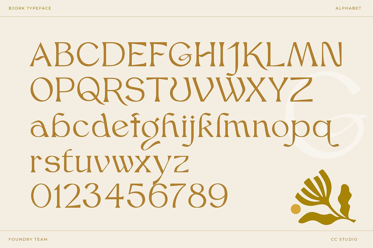 Bjork Serif, a Serif Font by CCS-Type.com (Photo 28 of 30)