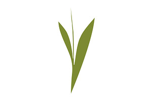 Simple green plant with single stem, an Object Illustration by okskukuruza
