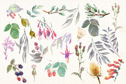Birds of North America part 3, an Animal Illustration by Art & Things (Thumbnail 7 of 8)