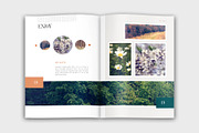 Vintage Nature Booklet, a Brochure Template by velvetmade.designs (Thumbnail 10 of 11)