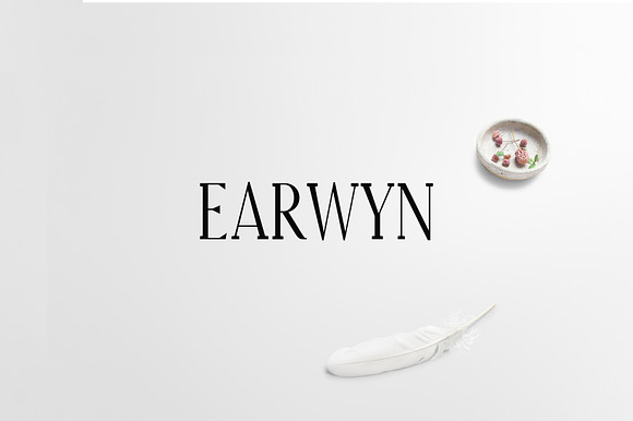 Earwyn Serif Font Family Pack preview 7