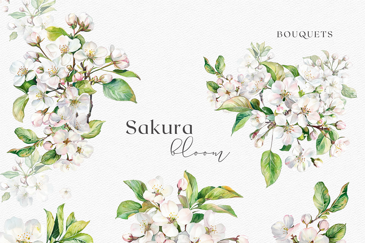Sakura Bloom - Cherry Blossom, a Decorative Illustration by ThaismotaCreativeCo (Photo 3 of 9)