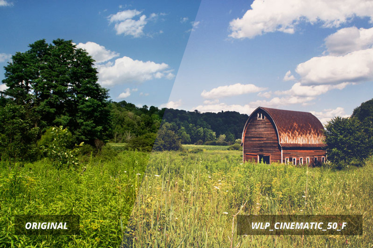 3d Luts - Cinematic Film Looks vol 2, a Preset Add-On by WeLovePresets (Photo 9 of 21)