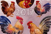 watercolor roosters family & 2017, an Animal Illustration by Graphobia (Thumbnail 6 of 13)