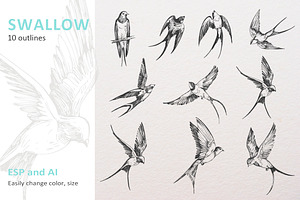 Swallow vector outline