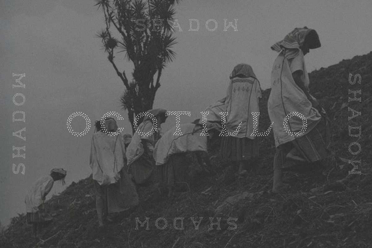 OCOTILLO SHADOW TYPEFACE