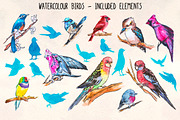 20 Colorful Bird Watercolor Graphics, an Animal Illustration by Violet LeBeaux (Thumbnail 1 of 3)