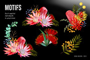 AUSTRALIA FAIR Elements, a Decorative Illustration by Dana Designs (Thumbnail 6 of 14)