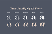 Clarize Family, a Serif Font by seventhimperium (Thumbnail 2 of 7)