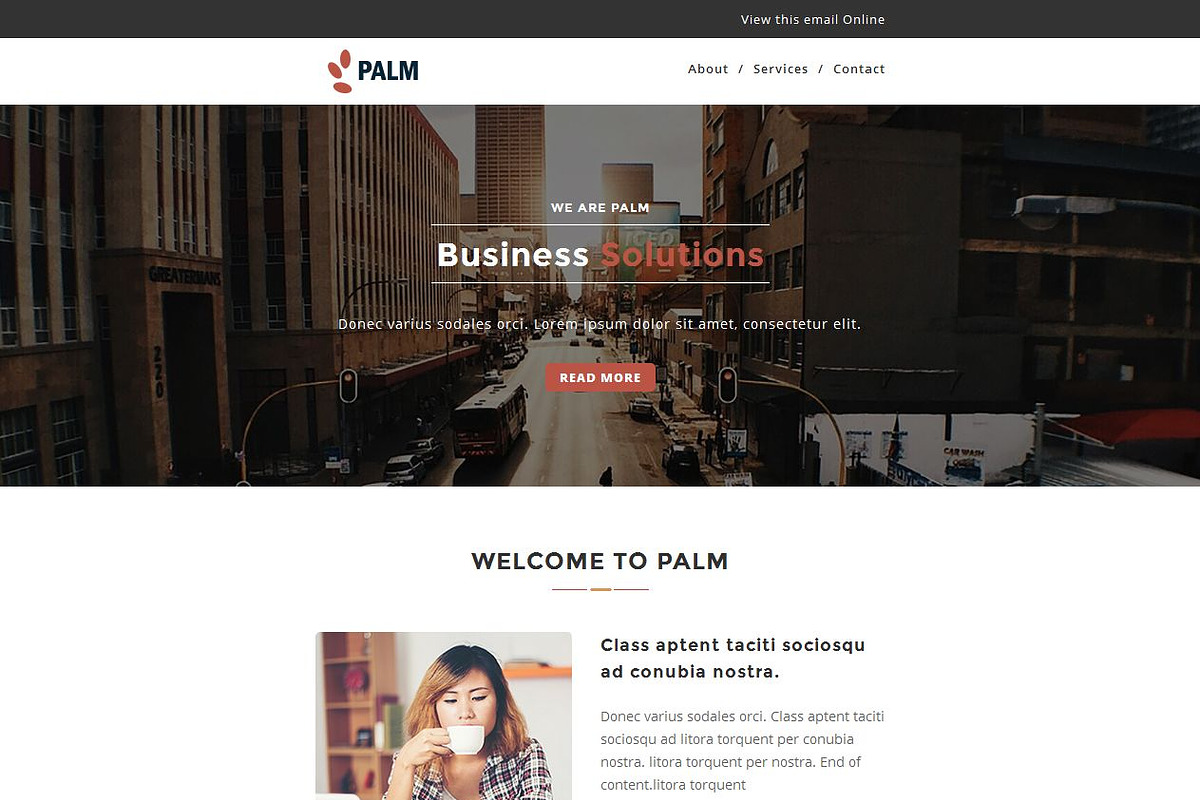 PALM - Responsive Email Template, an Email Template by FourDinos (Photo 2 of 3)