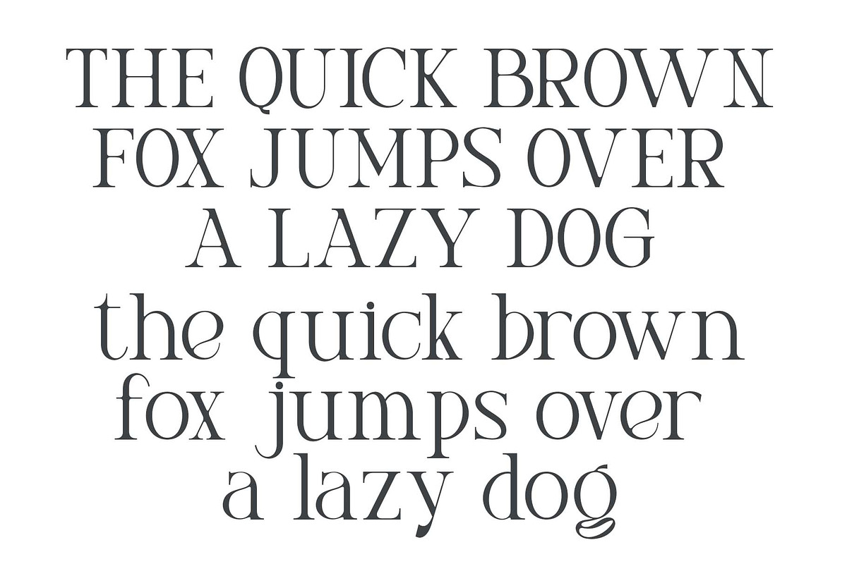 Prista an elegant serif font, a Sans Serif Font by Honestype (Photo 6 of 10)