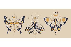 Mystical moon butterfly in boho, an Animal Illustration by art PVP - market