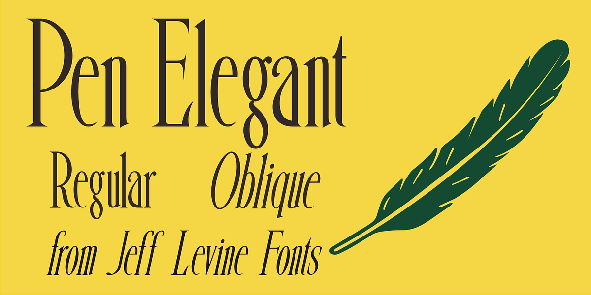 Pen Elegant JNL, a Serif Font by Jeff Levine Fonts