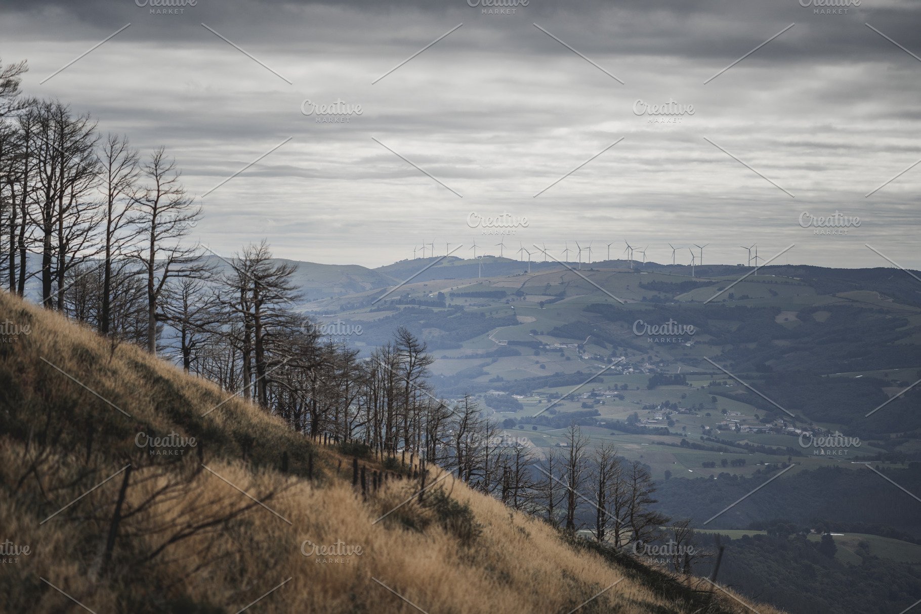 Burnt forest and wind farm, a Nature Photo by SkyNext