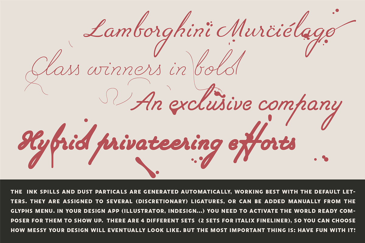 Italix - Script Font Family, a Handwritten Font by Punch (Photo 10 of 10)