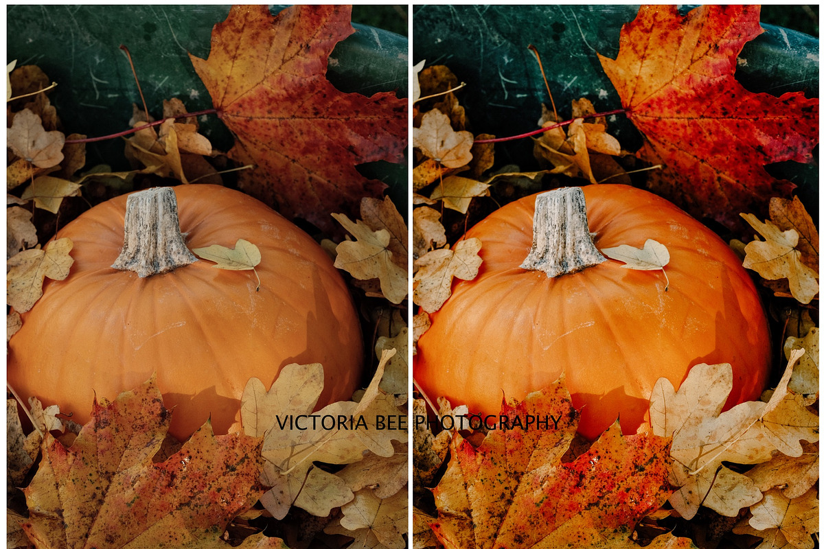 FALL LIGHTROOM PRESETS BRIGHT AUTUMN, a Preset Add-On by Victoria Bee Presets (Photo 3 of 9)