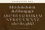 Primrose Essentials Font Duo, a Serif Font by Storytype Studio (Thumbnail 14 of 15)