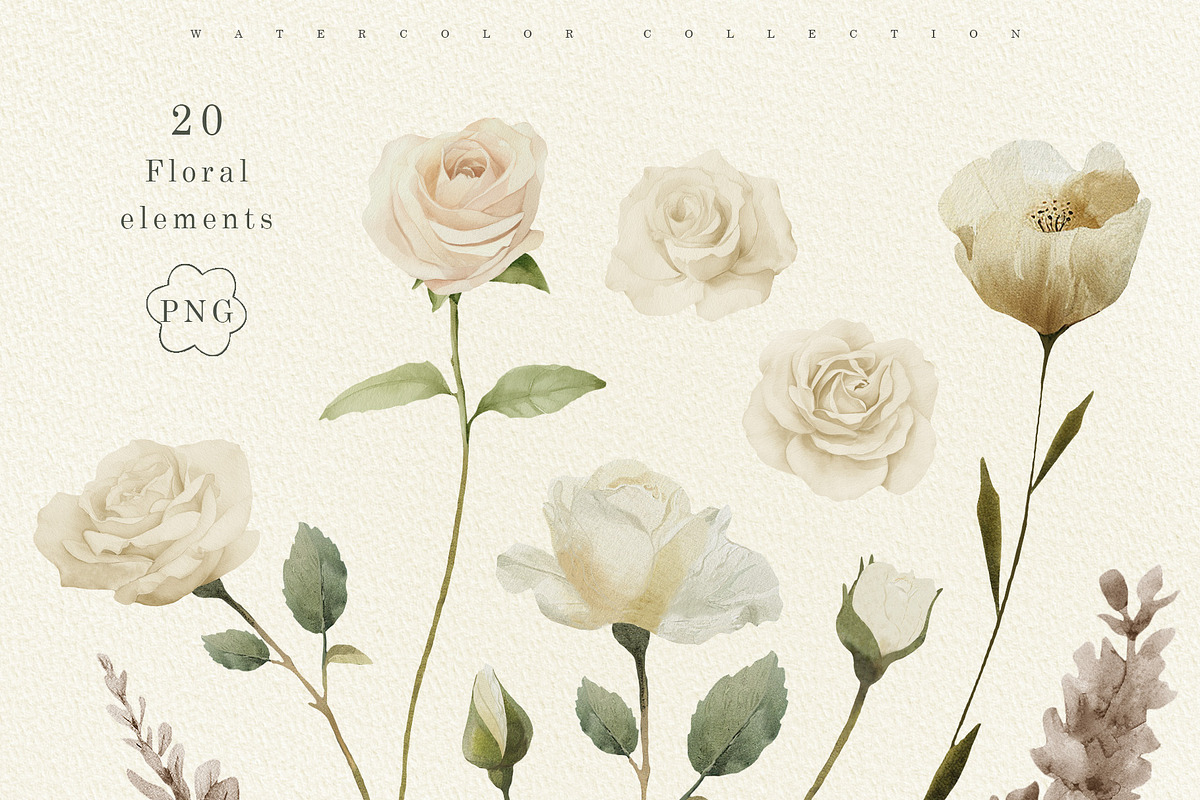 Delicate Flowers & Glass Vases Set, a Decorative Illustration by Sunshine Art (Photo 10 of 13)