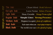 Shequan, a Serif Font by Propertype (Thumbnail 5 of 15)