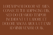 Stolen Love - Elegant serif typeface, a Serif Font by VP Fonts (Thumbnail 31 of 34)