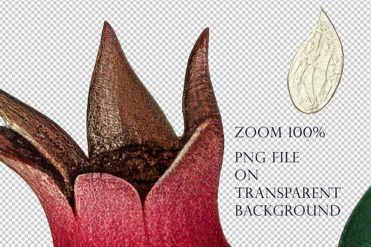 Branches with pomegranate, a Pattern Graphic by Yummy (Photo 3 of 10)