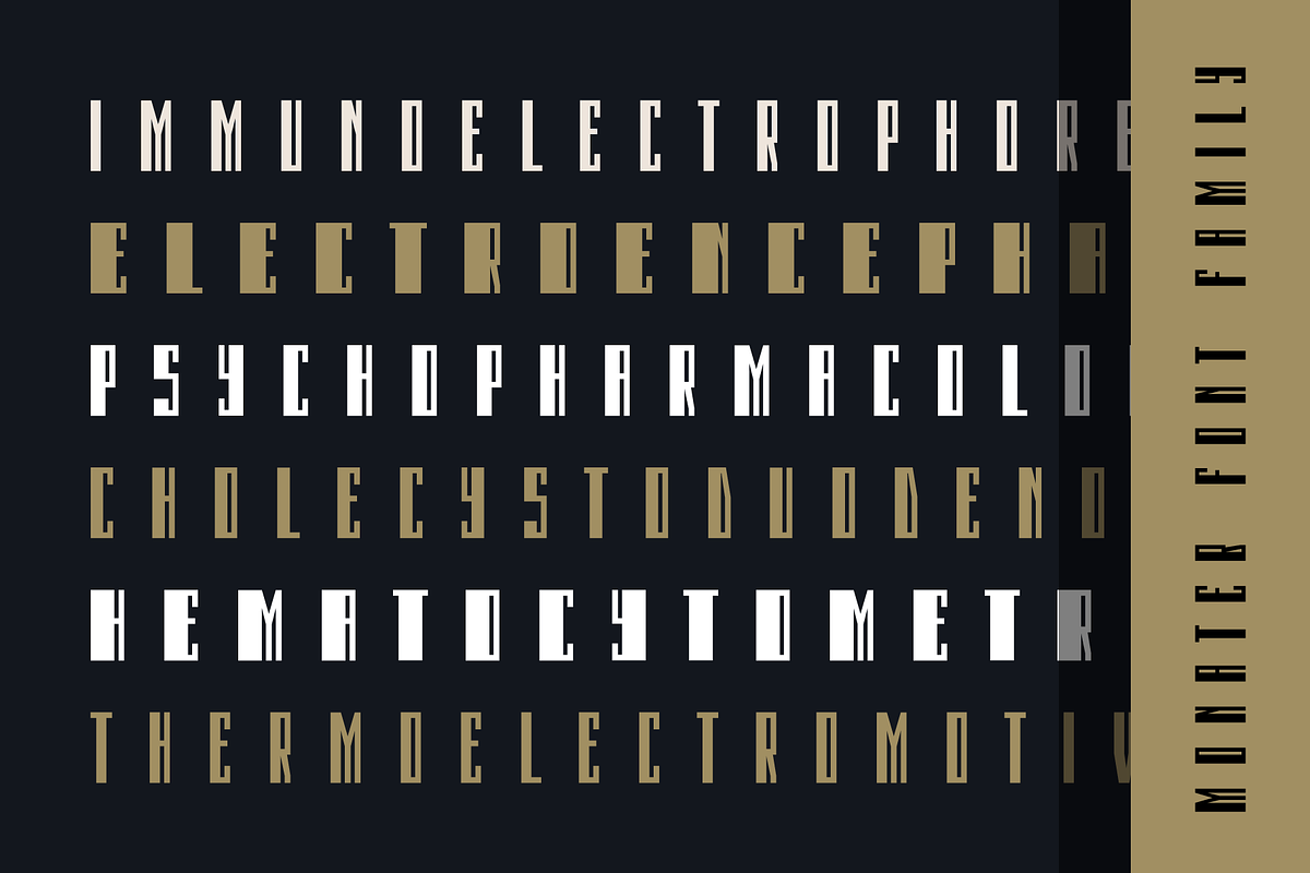 Monateb – A Font Family (44 Fonts), a Font by alpercakici (Photo 12 of 16)