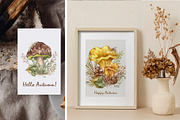 Watercolor Botanical Forest Set, an Animal Illustration by BarvArt (Thumbnail 14 of 20)