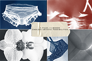 Cyanotype Print 5 in 1 styles, a Layer Style Add-On by Kristina&Co (Thumbnail 4 of 19)