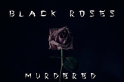 Wastebone Blackletter Gothic Font, a Blackletter Font by Fontmine Studio (Thumbnail 4 of 7)