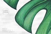 Palm tree leaves + patterns, a Decorative Illustration by Bigio Designs (Thumbnail 3 of 4)