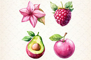Watercolor Pink Fruit Clipart, an Illustration by Rose Art (Thumbnail 4 of 4)