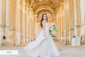 Matte Wedding Presets