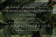 Jungle, a Handwritten Font by Majelis Font (Thumbnail 5 of 5)