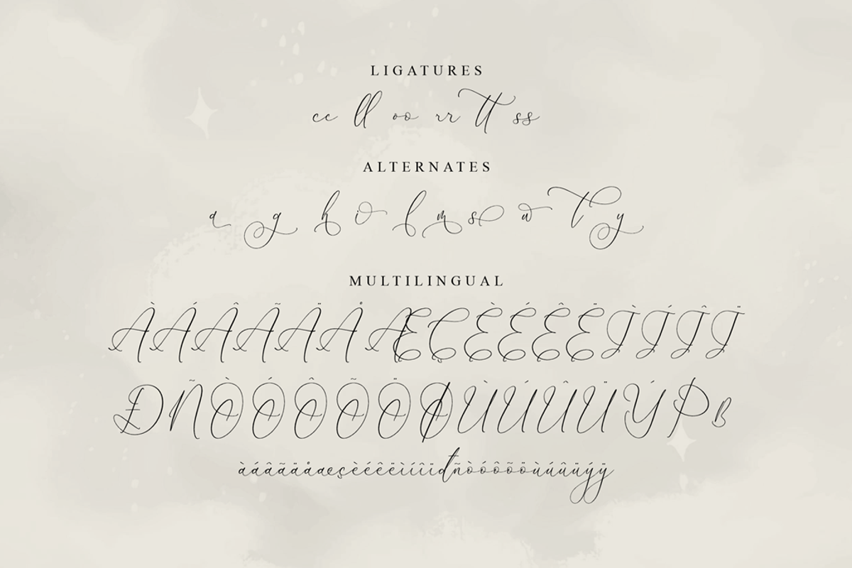 Dihatimu Adamelri Elegant Script, a Script Font by Storytype Studio (Photo 13 of 14)