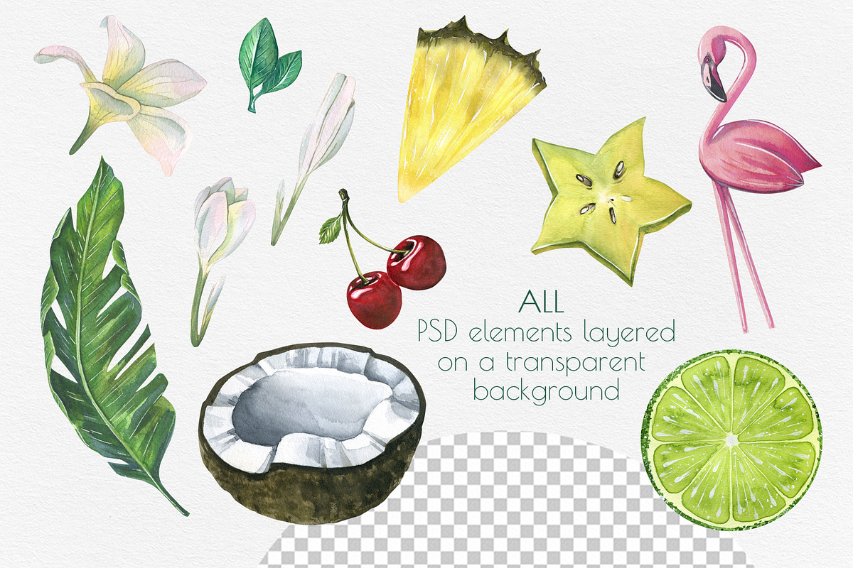 Tropical Bar Watercolor Clipart, an Illustration by NATASHA CHU (Photo 4 of 6)