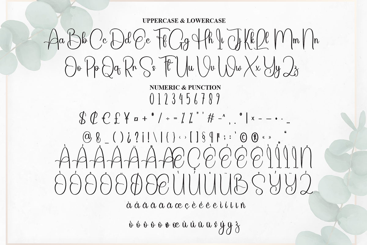 Background | Script Font, a Handwritten Font by Scratchones