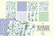 Chicory Plant Watercolor Collection, an Illustration by SashaKondr (Thumbnail 10 of 12)