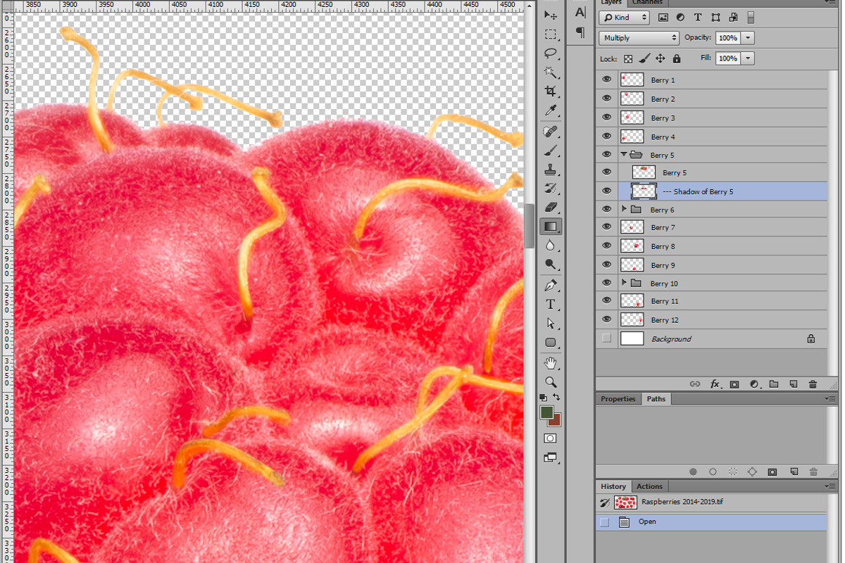 Raspberries, an Object Graphic by Hortimages (Photo 2 of 2)
