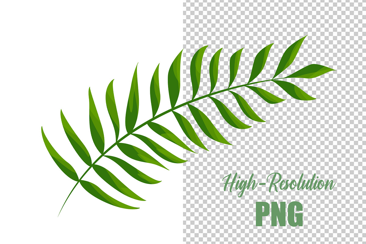 Leaves, a Decorative Illustration by Digital Studio (Photo 7 of 7)