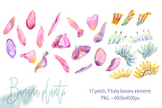 Banana blossom plants Watercolor set, an Illustration by Shabbypie (Thumbnail 2 of 13)