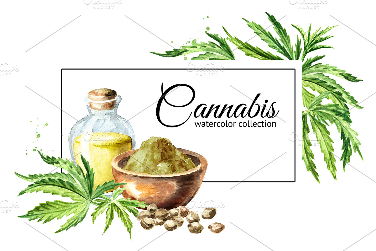 Cannabis. Watercolor collection, a Healthcare Illustration by Daria Ustiugova (Photo 1 of 12)