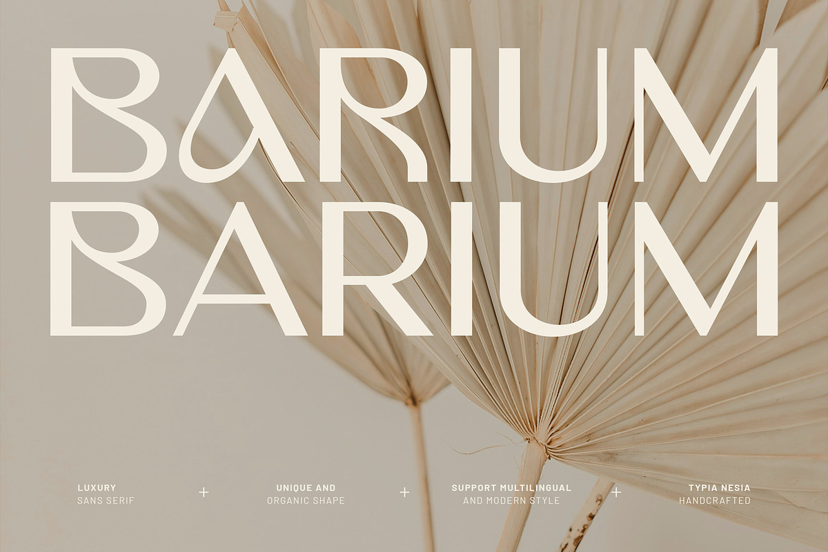 Barium - Luxury Elegant Beauty Sans, a Sans Serif Font by Typia Nesia (Photo 1 of 11)